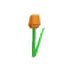 Tulip